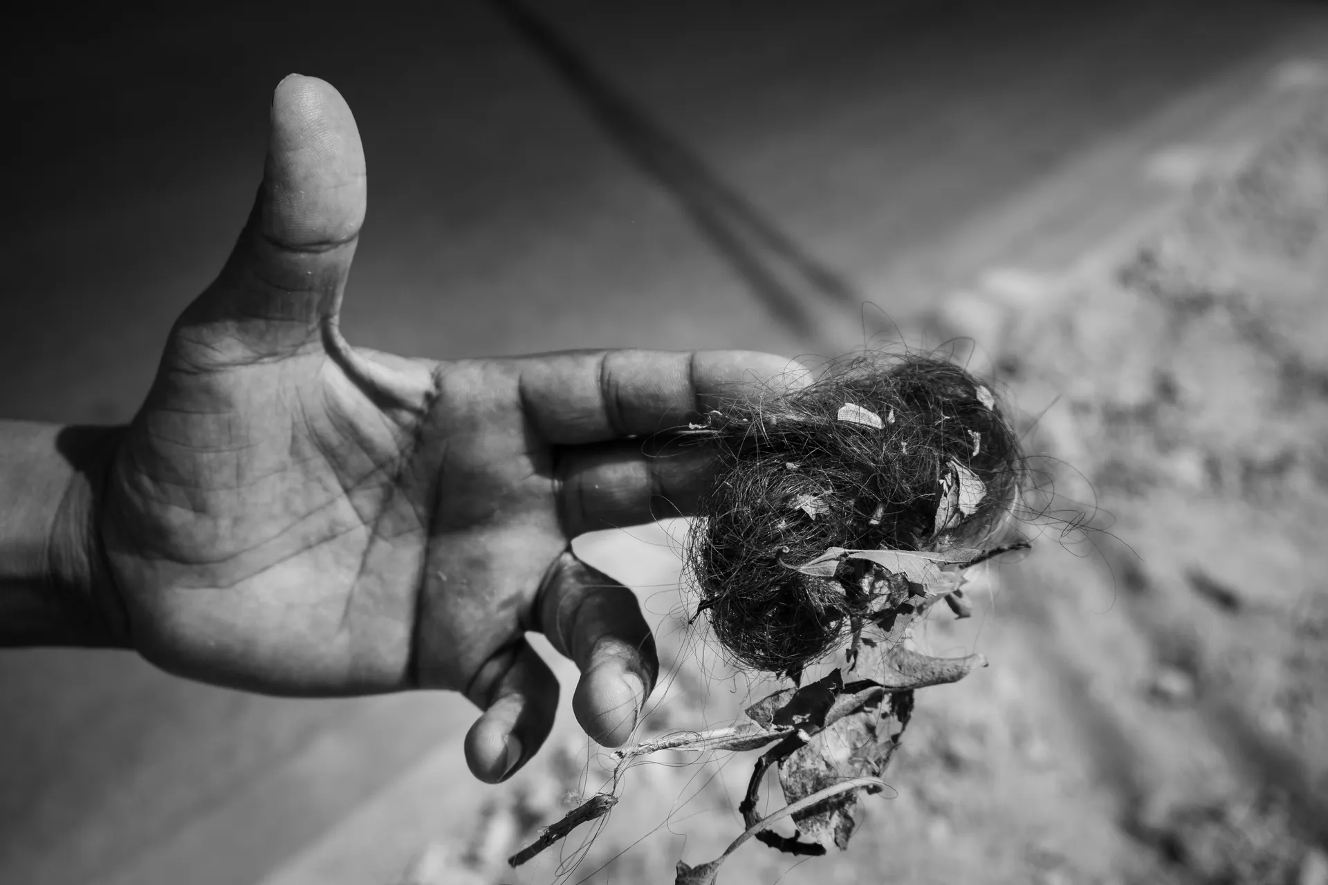 Morocco - Western Sahara ("C'est la politique mon amì!")