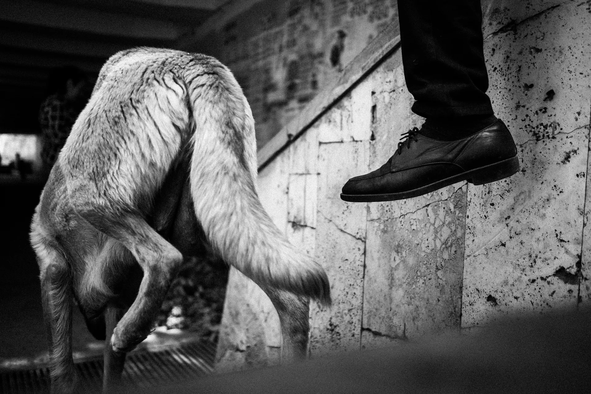 Unsorted black and white pictures