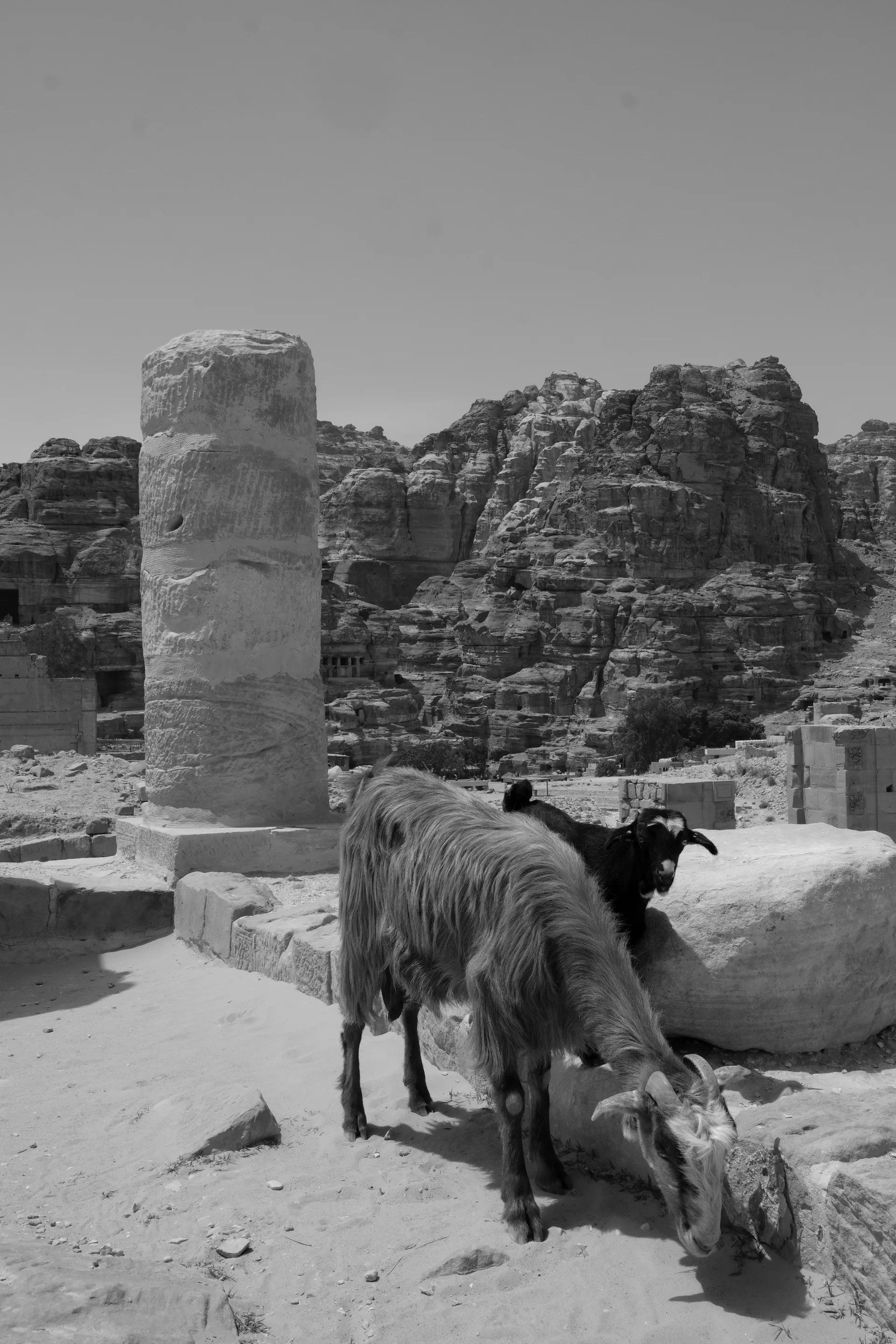 Unsorted black and white pictures